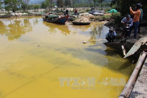 Làm rõ nguyên nhân nước biển ở Lăng Cô chuyển sang màu vàng ảnh 1